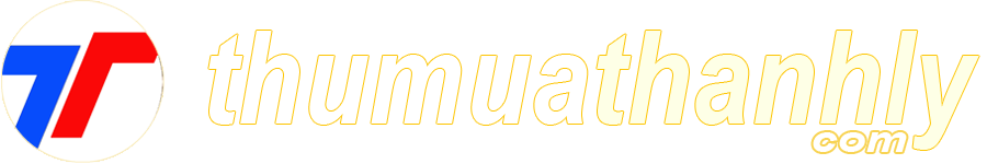 Thu mua xe điện cũ